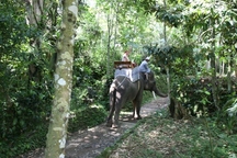 Elefanten reiten